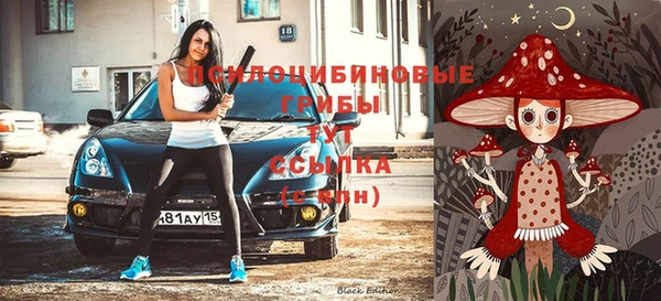 спиды Абдулино