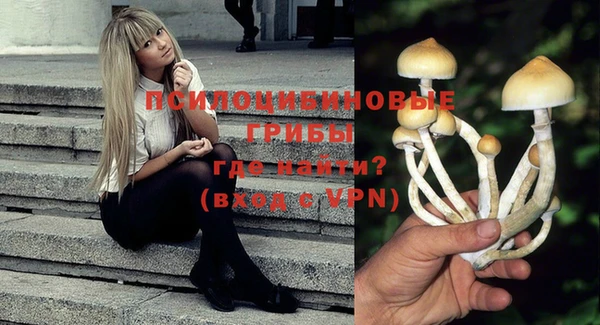 спиды Абдулино