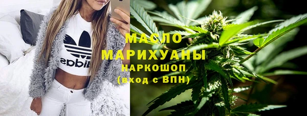 дмт Абаза