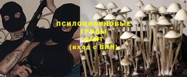 дмт Абаза